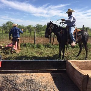 Meet your Posher, Dan